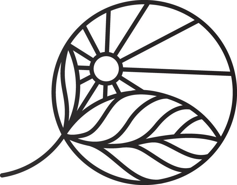 Open Soul Wines logo icon with sunburst over leaves within in an outline of a wine grape 